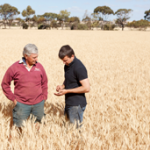 Grain marketing – opportunity to work with next generation