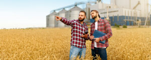 Pinion Advisory - Agribusiness Consultants & Grain Marketing