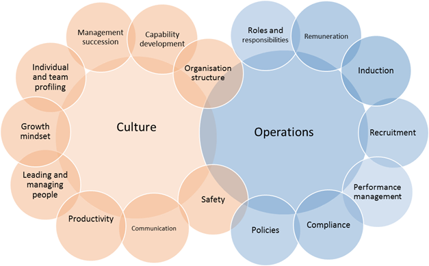 People Mgmt And Succession People Management & Succession