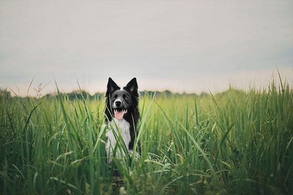 Farm Business Management