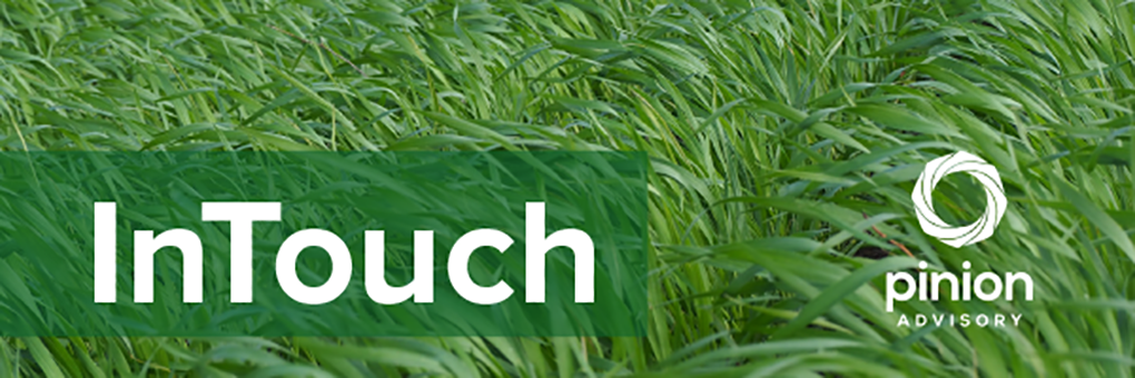 InTouch Header Image