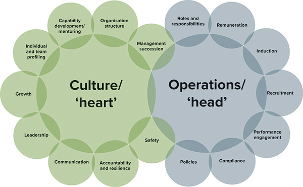 Culture Heart Operation Head
