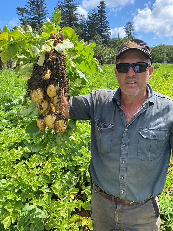 WMatt Bigg And His Excellent Crop Of Nicola Potatoes