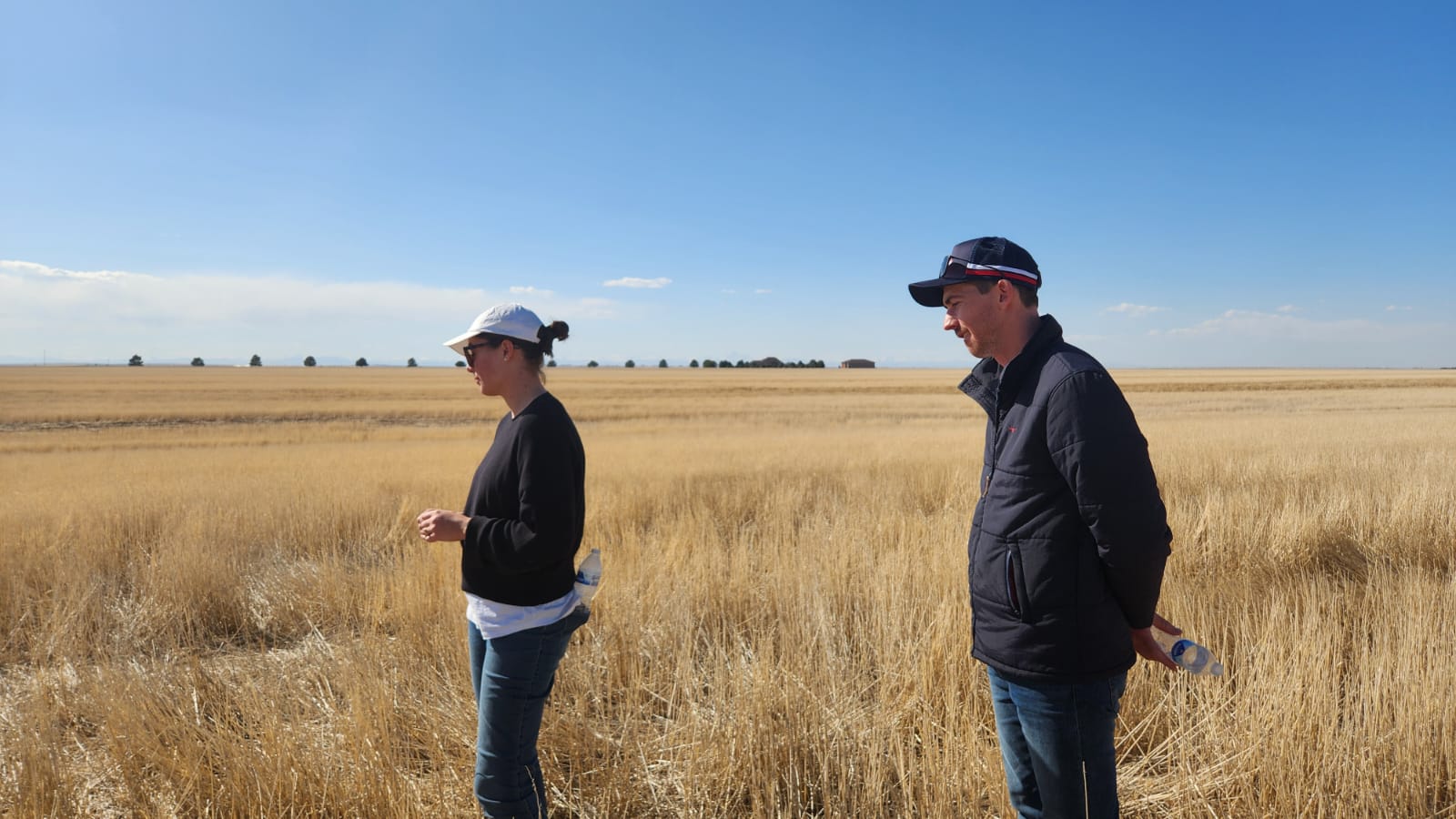 9801f588 F1d9 4b00 Ba39 A7846c86647b In a field of stripped wheat stubble near Bennett, Colorado