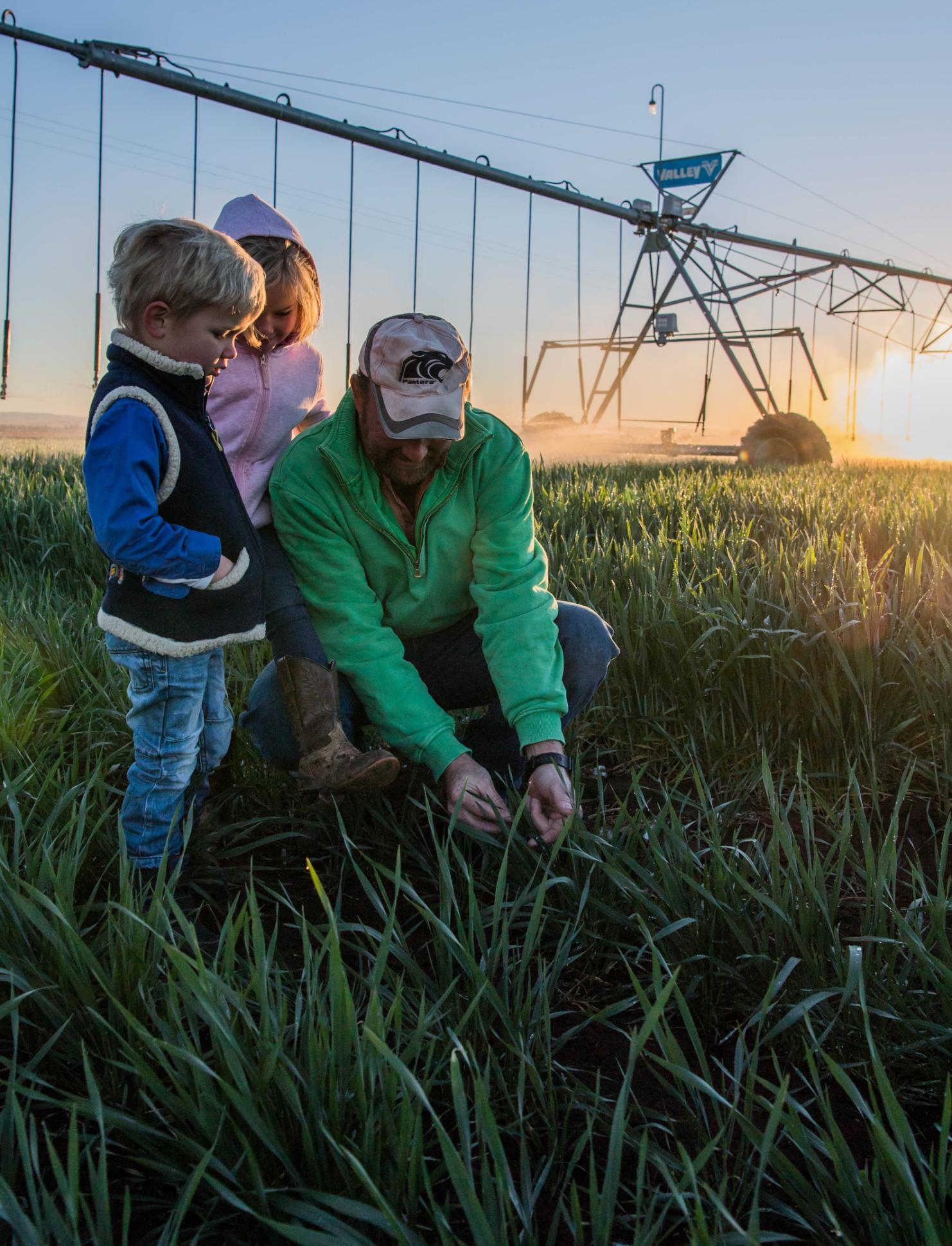 ALMABIN 1504297843 6 Farmer Centrepivot NSW ALMABIN 1504297843 6 Farmer Centrepivot NSW