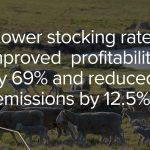 case study - stoocking rate