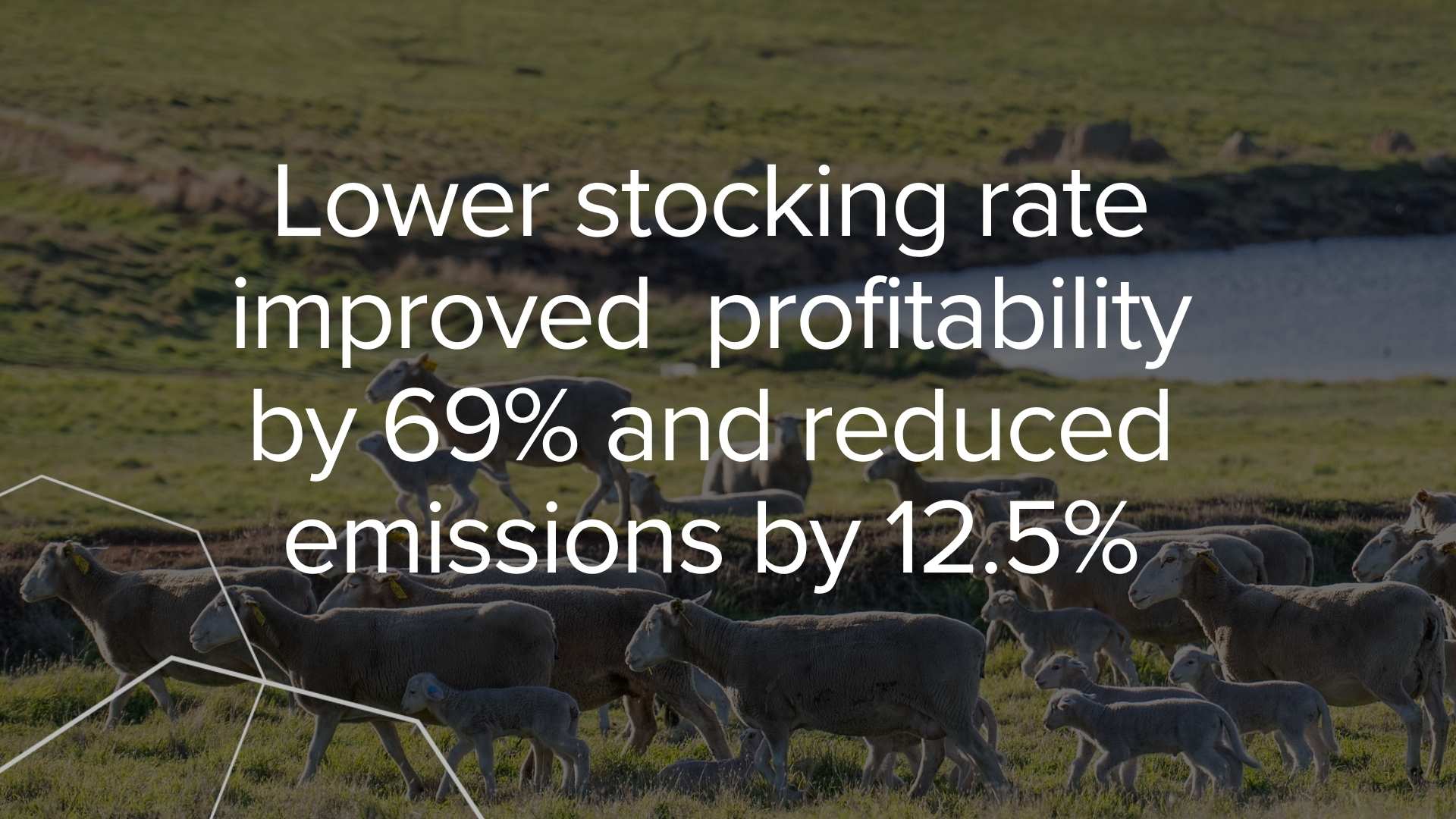 case study - stoocking rate