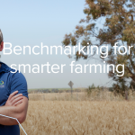 Beyond the season: what benchmarking really reveals