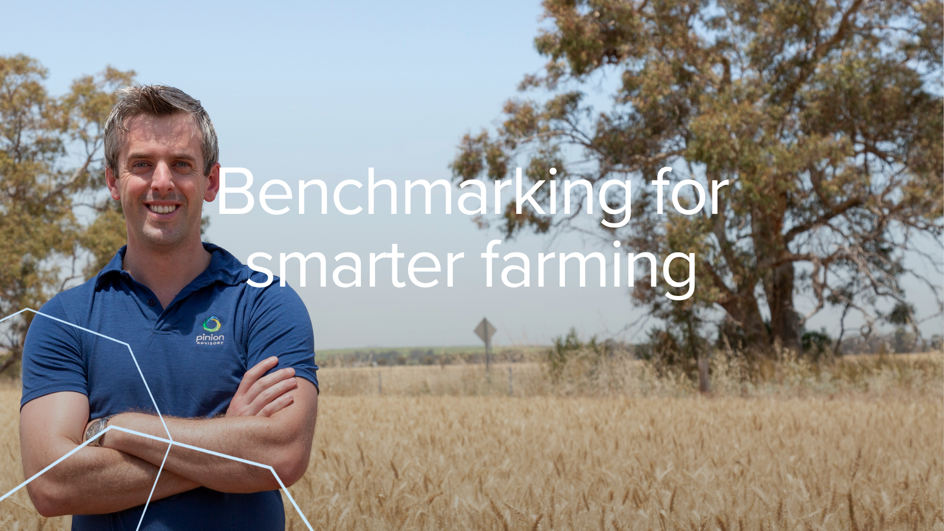 Beyond the season: what benchmarking really reveals