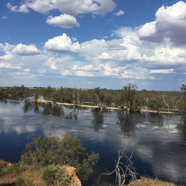 W1879 Water Resources